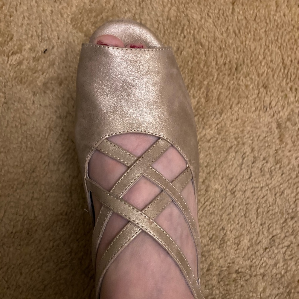 Antelope shoes